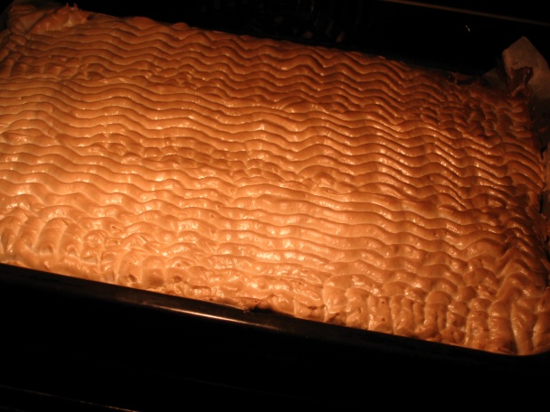 Tvarohový koláč (fotorecept) - obrázok 14