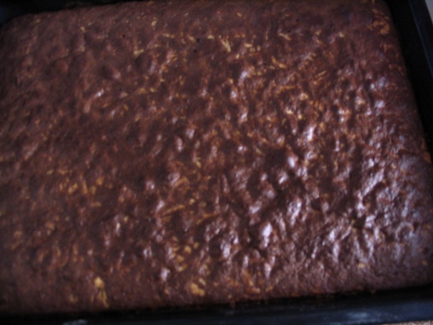 Lienka (fotorecept) - obrázok 11