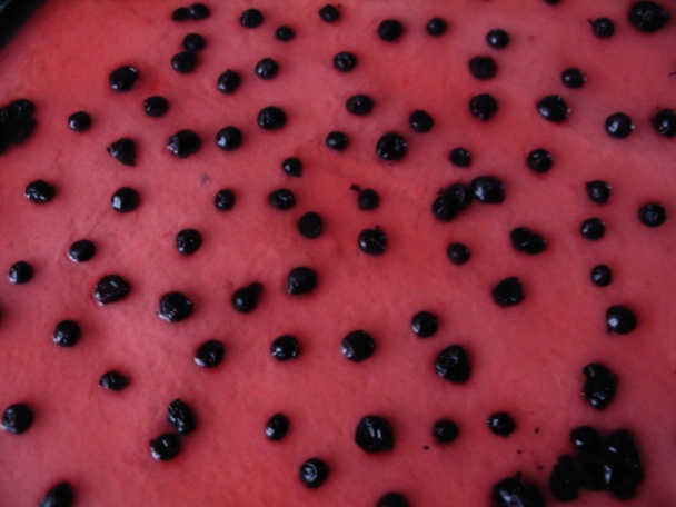 Lienka (fotorecept) - obrázok 14