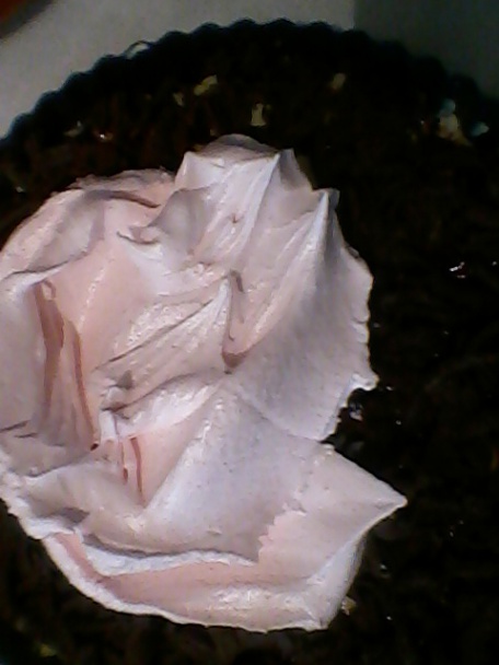 Strúhaný koláčik s jahodovou galaretkou (fotorecept) - obrázok 7