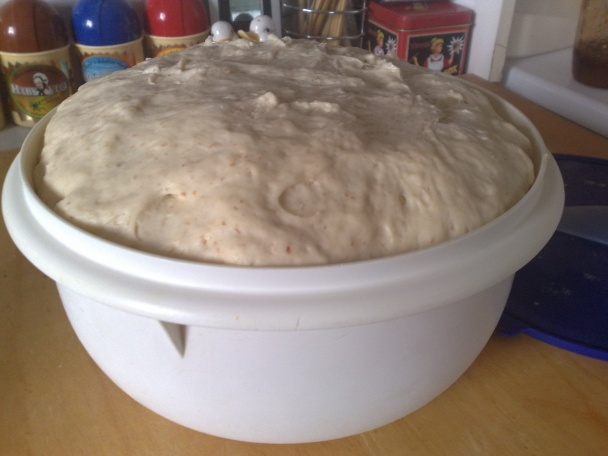 Tvarohové koláče,  makové, orechové rožky a slaničky (fotorecept) - obrázok 2