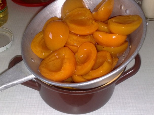 Tvarohový zákusok s marhuľami (fotorecept) - obrázok 3