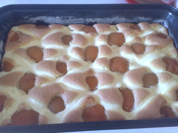 Tvarohový zákusok s marhuľami (fotorecept) - obrázok 8