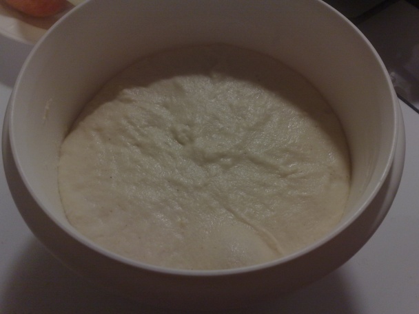 Knedľa na pare (fotorecept) - obrázok 2