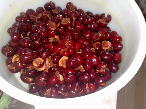 Ovocná olejová bublanina č.1 (fotorecept) - obrázok 1