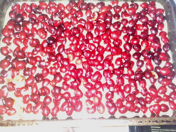 Ovocná olejová bublanina č.1 (fotorecept) - obrázok 4