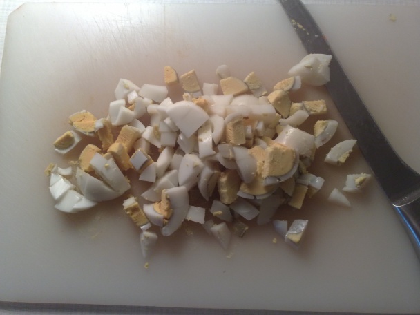 Aspik (fotorecept) - obrázok 3