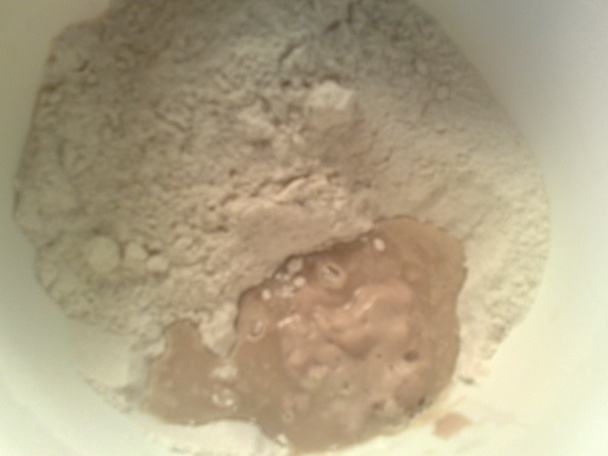 Špaldový kysnutý koláč ( fotorecept ) - obrázok 2