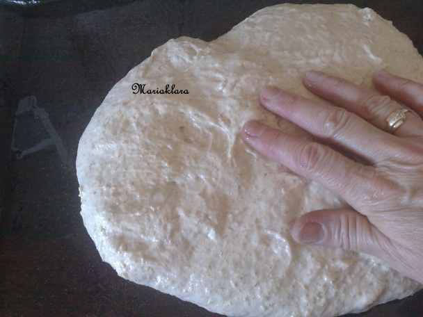 Osúch z plechu ( fotorecept ) - obrázok 5