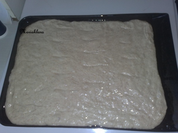 Osúch z plechu ( fotorecept ) - obrázok 6