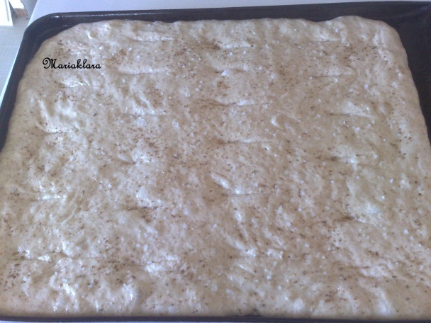 Osúch z plechu ( fotorecept ) - obrázok 7