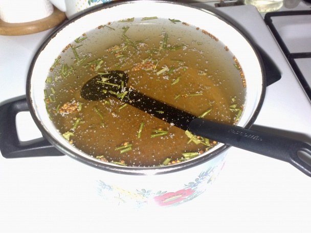 Uhorky - Rimavská Sobota (fotorecept) - obrázok 2