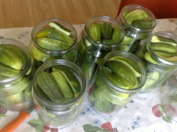 Uhorky - Rimavská Sobota (fotorecept) - obrázok 4