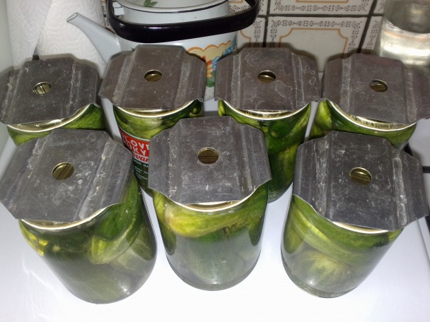 Uhorky - Rimavská Sobota (fotorecept) - obrázok 8