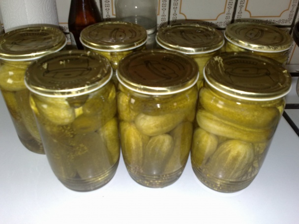 Uhorky - Rimavská Sobota (fotorecept) - obrázok 10