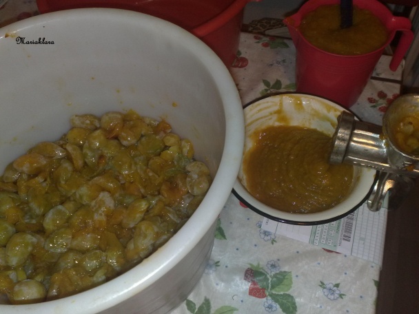 Falošný marhuľový lekvár (fotorecept) - obrázok 2