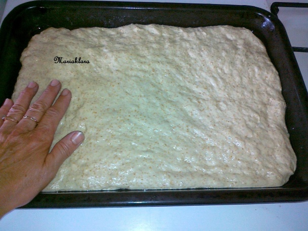 Slivkový koláč s makovou posýpkou (fotorecept) - obrázok 3