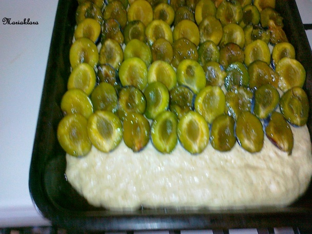 Slivkový koláč s makovou posýpkou (fotorecept) - obrázok 4