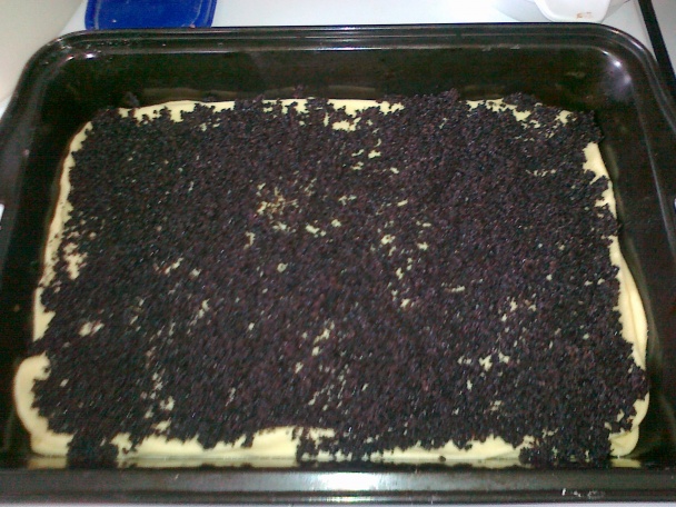 Štedrák (fotorecept) - obrázok 11