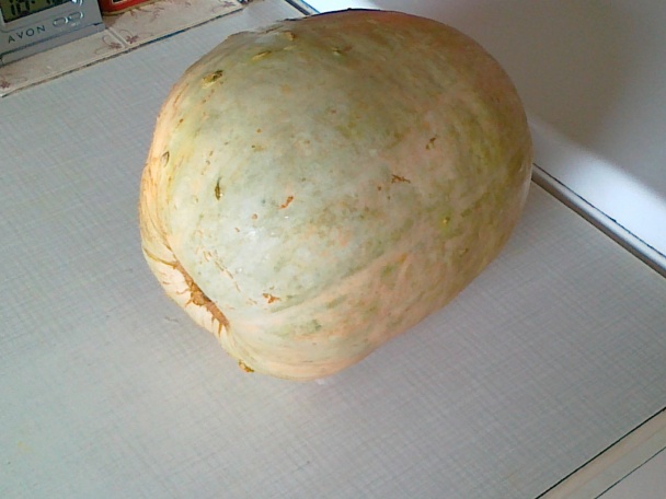 Pečená tekvica (fotorecept) - obrázok 1