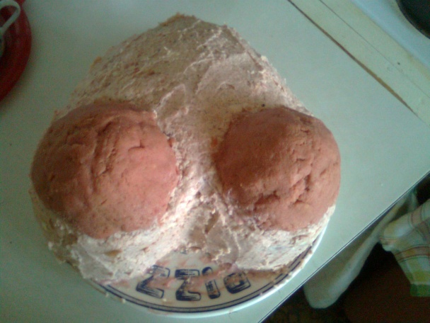 Narodeninová torta (fotorecept) - obrázok 3