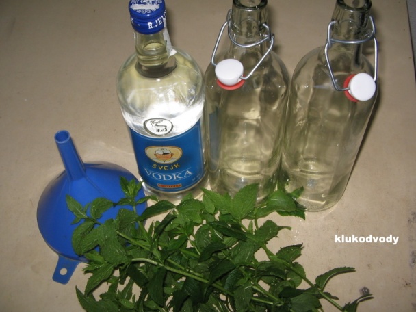 Mátový likér - obrázok 1