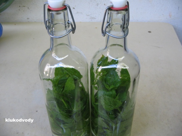 Mátový likér - obrázok 2