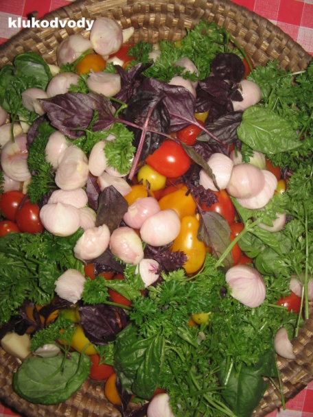 Rajčatový miš maš na ledacos - obrázok 1