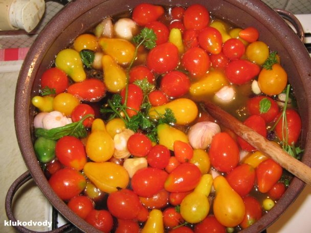 Rajčatový miš maš na ledacos - obrázok 2