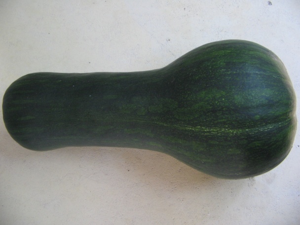 Cuketové zelí - obrázok 1