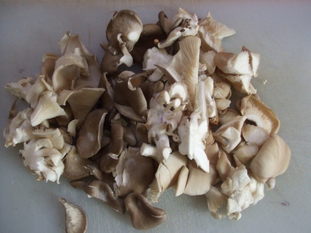 Kuřecí játra, hlíva ústřičná jako guláš (fotorecept) - obrázok 5