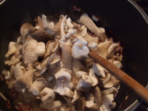 Kuřecí játra, hlíva ústřičná jako guláš (fotorecept) - obrázok 6