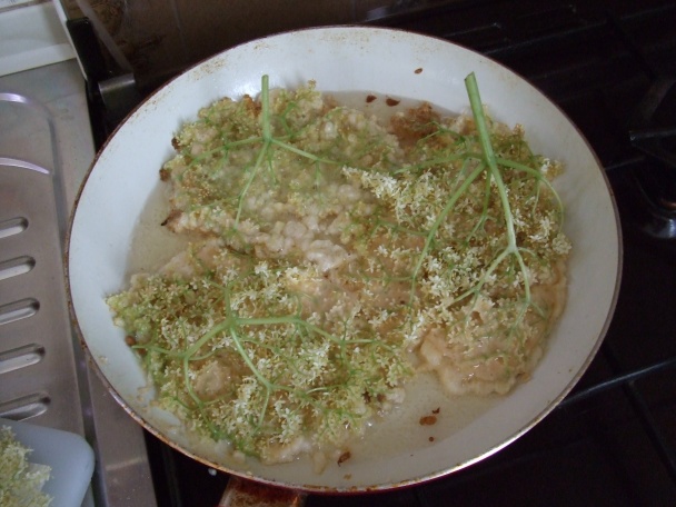 Kosmatice (fotorecept) - obrázok 2