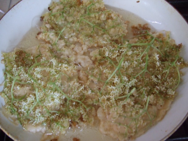 Kosmatice (fotorecept) - obrázok 3