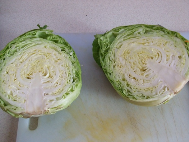 Boršč (fotorecept) - obrázok 13