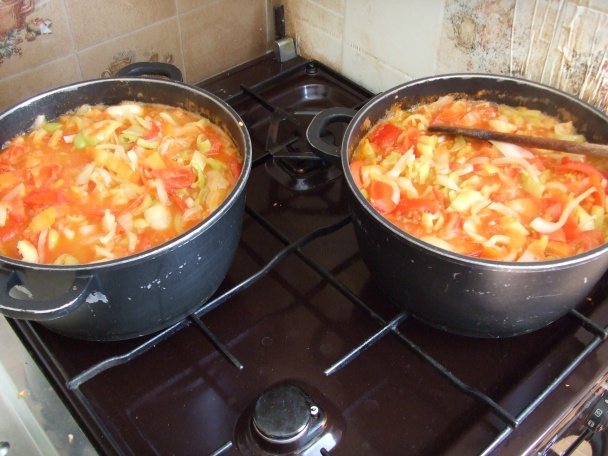 Polotovar do mrazáčku (fotorecept) - obrázok 7