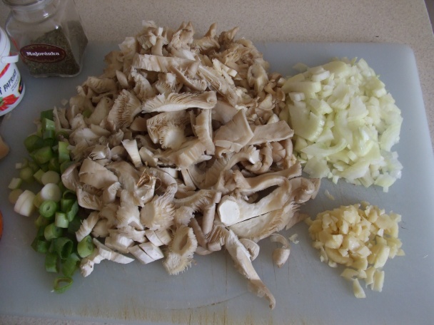 Falešná držková polévka z hlívy ústřičné (fotorecept) - obrázok 1