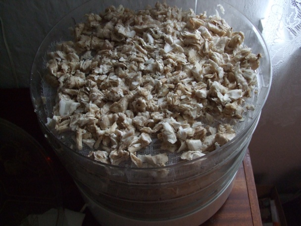 Bedly v těstíčku (fotorecept) - obrázok 4