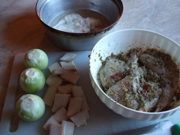 Králík v česnekovo-hořčičné marinádě v Remosce (fotorecept) - obrázok 1