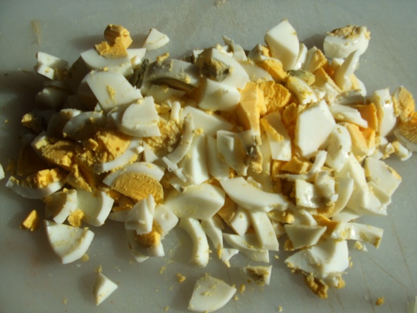 Vaječná tlačenka (fotorecept) - obrázok 2