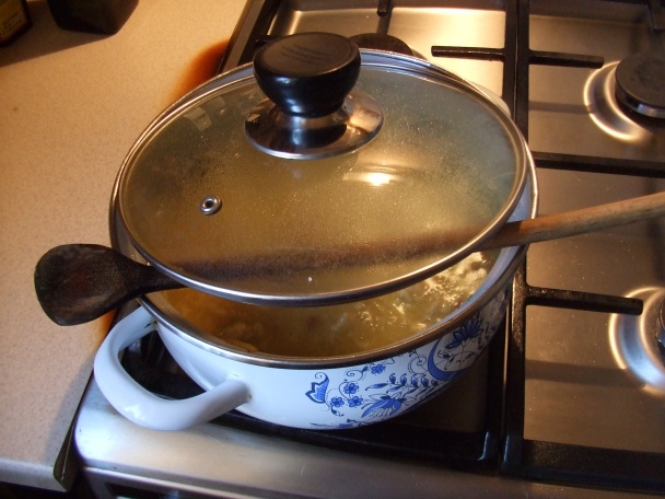 Vepřové nudličky s liškami na smetaně (fotorecept) - obrázok 6