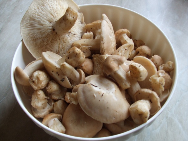 Nudle s májovkami (fotorecept) - obrázok 1