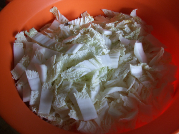 Kimchi (fotorecept) - obrázok 2