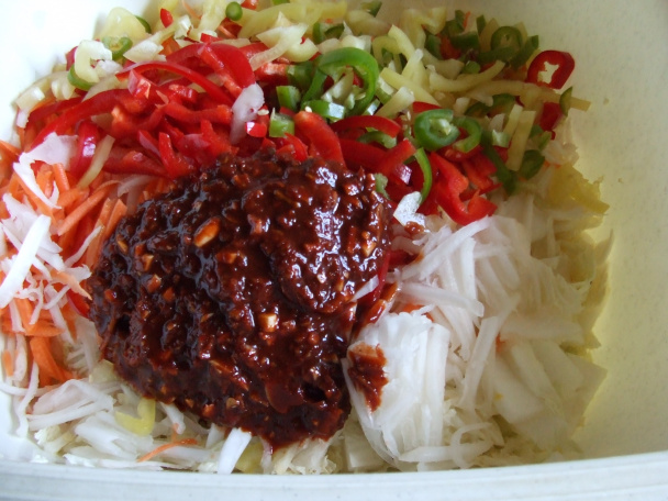 Kimchi (fotorecept) - obrázok 7
