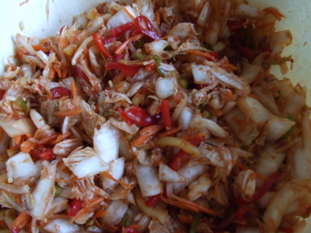 Kimchi (fotorecept) - obrázok 8