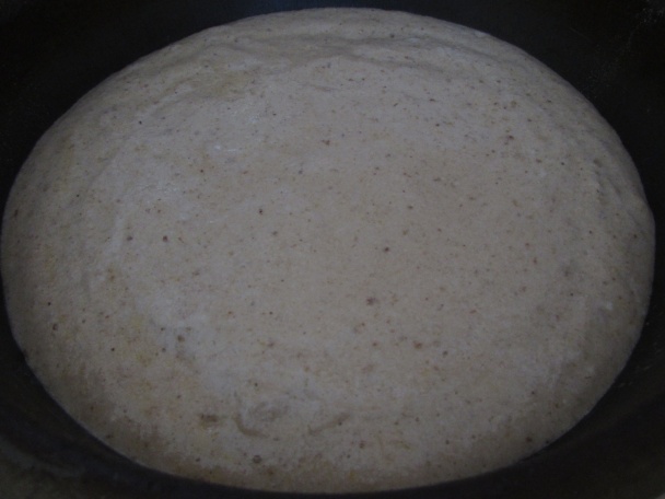 Orechovo-parížske rezy (fotorecept) - obrázok 1