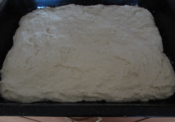 Slivkový koláč s vynikajúcou zmesou (fotorecept) - obrázok 2