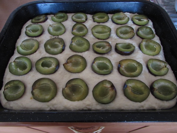 Slivkový koláč s vynikajúcou zmesou (fotorecept) - obrázok 3