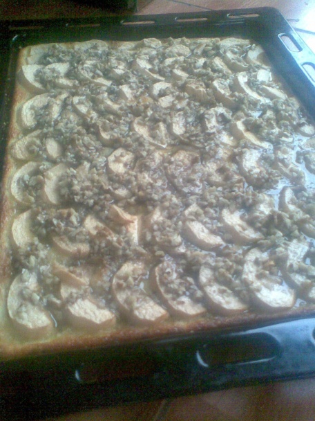 Tvarožník bez múky so slivkami a orechami (bezlepku) - aj s jablkami, marhuľami, černicami... - obrázok 4