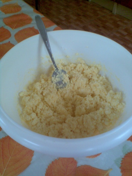 Tvarožník bez múky so slivkami a orechami (bezlepku) - aj s jablkami, marhuľami, černicami... - obrázok 1